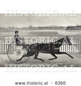 Historical Illustration of a Man Racing the Famous Roan Horse, Captain Mcgowan, in His 20th Mile by Al