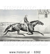 Historical Illustration of a Man Riding a Horse, Billy Boyce, Racing past Judges in Buffalo, New York, August 1st 1868 by Al