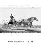Historical Illustration of a Man, Robert Bonner, in a Cart, Being Pulled by a Running Horse - Black and White by Al
