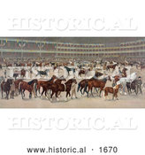 Historical Illustration of a Parade of Beautiful Horses at a National Horse Show by Al