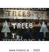 Historical Illustration of a Window Display with Christmas Trees, Plants and Wreaths by Al