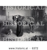 Historical Illustration of a Woman Feeding and Leaning Against a Horse While a Dog Watches and a Kitten Plays, a Man Standing in the Background - Black and White by Al