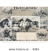 Historical Illustration of an Agricultural Diploma with Jockeys Racing Horses, Livestock, Produce and Farming Tools by Al
