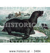 Historical Illustration of Sea Lions on Ice Bergs near Ships by Al