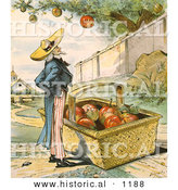 Historical Illustration of Uncle Sam Waiting for Apples to Fall from a Tree in to His Big Basket - Patient Waiters Are No Losers 1897 by Al