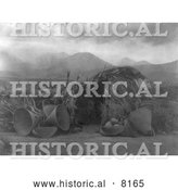 Historical Image of Mono Native American Indian Dwelling 1924 - Black and White by Al