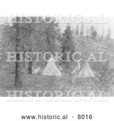 September 30th, 2013: Historical Image of Native American Indian Tipis Under Trees 1910 - Black and White by Al