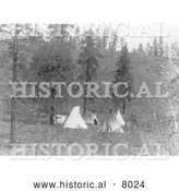 September 30th, 2013: Historical Image of Native American Tipis 1910 - Black and White by Al