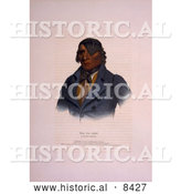 Historical Image of Sioux Indian Chief, Waa-Pa-Shaw 1836 by Al