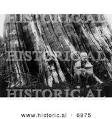 Historical Photo of a Sasquatch Indian Man Sitting Beside a Huge Tree - Black and White Version by Al