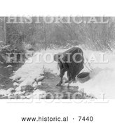 December 13th, 2013: Historical Photo of Apsaroke Indian Woman Gathering Water 1908 - Black and White by Al