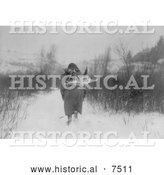 Historical Photo of Apsaroke Native Woman Carrying Firewood 1908 - Black and White by Al