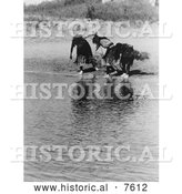 November 29th, 2013: Historical Photo of Cheyenne Indian Animal Dancers - Black and White by Al