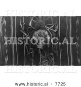 November 12nd, 2013: Historical Photo of Comanche Indian Shield 1891 - Black and White by Al