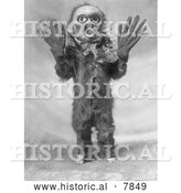 October 24th, 2013: Historical Photo of Hami 1914 - Black and White by Al