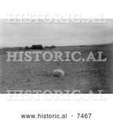 Historical Photo of Hidatsa Indian Mythic Stone - Black and White by Al