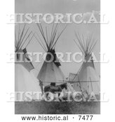 Historical Photo of Horse near Three Tipis, Crow Agency, Montana 1905 - Black and White by Al