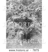 Historical Photo of Man in Bear Costume 1914 - Black and White by Al