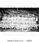 Historical Photo of the 1916 Red Sox Baseball Team Posing in Their Uniforms - Black and White Version by Al
