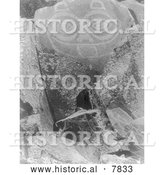 October 25th, 2013: Historical Photo of Tsagiglalal 1910 - Black and White by Al
