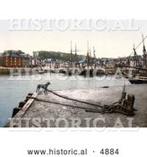 Historical Photochrom of a Dog at the Padstow Quay, Cornwall, England, United Kingdom by Al