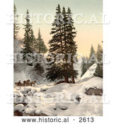 Historical Photochrom of a Horse Drawn Sleigh in Snow, Switzerland by Al