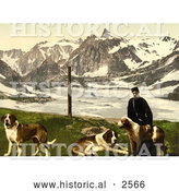 Historical Photochrom of a Man with St Bernard Dogs by Al