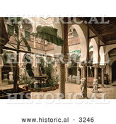 Historical Photochrom of a Museum Entrance Hall with Banana Trees, Fountains and Statues, Algeria by Al