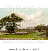 Historical Photochrom of a Park at Hampton Court Palace, London, England by Al