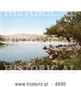 Historical Photochrom of a Rocky Shore on Rydal Water Lake District Cumbria England UK by Al