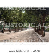 Historical Photochrom of a Tree Lined Promenade near the Queen’s Hotel in Cheltenham, Gloucestershire, England by Al