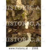 Historical Photochrom of a Wood Path Through a Gorge, Switzerland by Al