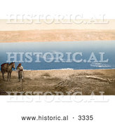 Historical Photochrom of an Arabian Man and Horse near the Dead Sea by Al