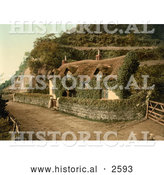 Historical Photochrom of an Ivy Covered Cottage in England by Al