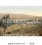 Historical Photochrom of Baalbek, Lebanon by Al