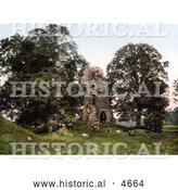 Historical Photochrom of Cattle Grazing in Front of the Ruins of Kirkoswald Castle, Kirkoswald, Cumbria, England by Al