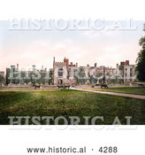 Historical Photochrom of Cows Grazing at Penshurst Place in Tunbridge Wells, England by Al