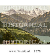 Historical Photochrom of Cows near Lake Thun, Switzerland by Al