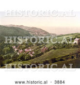 Historical Photochrom of Hillside Homes in Lee Devon England by Al