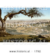 Historical Photochrom of Jerusalem from Mount Scopus by Al