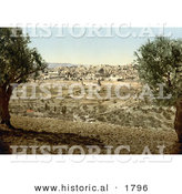 Historical Photochrom of Jerusalem from the Mount of Olives by Al
