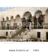 Historical Photochrom of Lion Statues on Staircase at Bardo, Tunis, Tunisia by Al