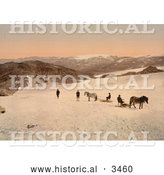Historical Photochrom of People and Horses on Folgefond Glacier by Al