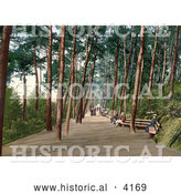 Historical Photochrom of People Sitting on Benches and Strolling down the Tree Lined Invalids’ Walk in Bournemouth Dorset England UK by Al