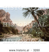 Historical Photochrom of River in El Cantara, Algeria by Al
