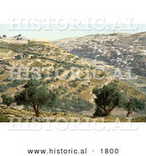 Historical Photochrom of Siloam and the Tyrophean Valley, Jerusalem by Al