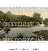 Historical Photochrom of the Site of Dan on the Jordan River by Al