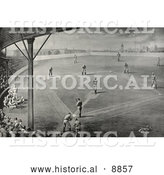 Historical Sepia Illustration of Fans Watching a Boston Braves Baseball Game Fans Watching a Boston Braves Baseball Game 1888 by Al