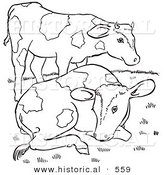Historical Vector Illustration of 2 Friendly Farm Cows - Outlined Version by Al