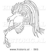 Historical Vector Illustration of a Bird of Paradise Resting on a Branch - Outlined Version by Al